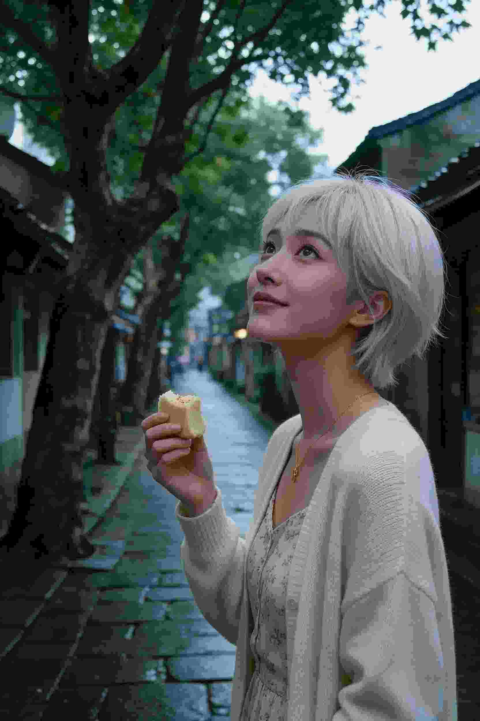 电视剧2